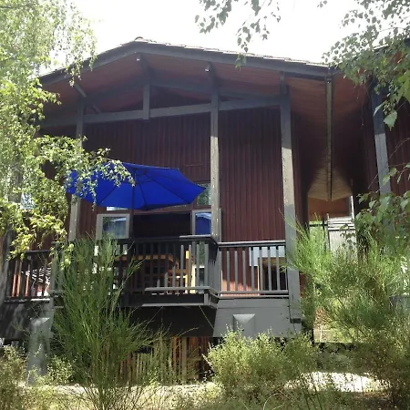 Dans Les Pins * Carcans